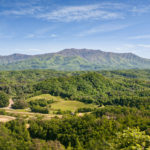 8-Our-Smoky-Mountain-View-Mt.-LeConte
