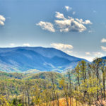A-Walk-In-The-Clouds-Pigeon-Forge-6